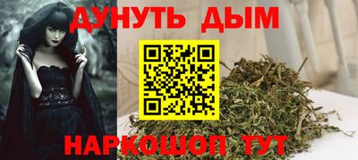 МДПВ Камышлов