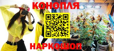МДПВ Камышлов
