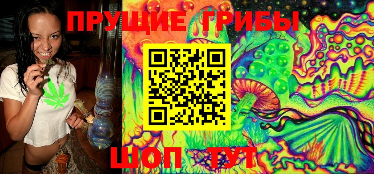 Унеча  Галлюциногенные грибы Cubensis  Псилоцибиновые грибы MAGIC MUSHROOMS  Вход с VPN 